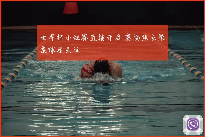 世界杯小组赛直播开启 赛场焦点聚集球迷关注