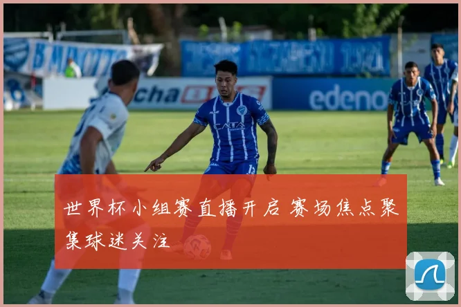 世界杯小组赛直播开启 赛场焦点聚集球迷关注